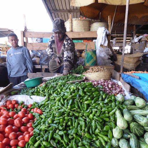 Vendor at Anosibe Market in Antananarivo standing behind a stall of tomatoes, green chilies, onions and small Highlands eggplants